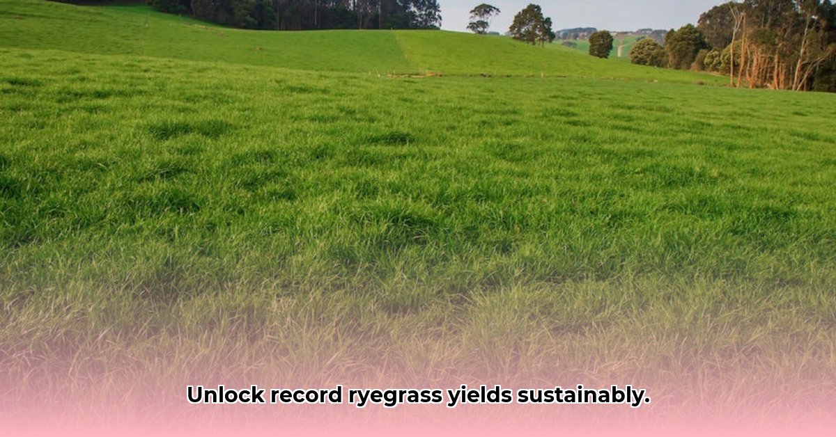tractor-supply-annual-ryegrass